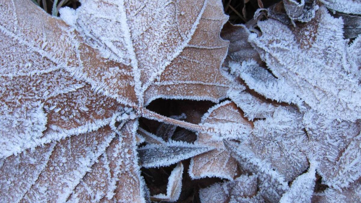 El pasado enero fue el segundo más soleado en Cantabria desde que hay registros