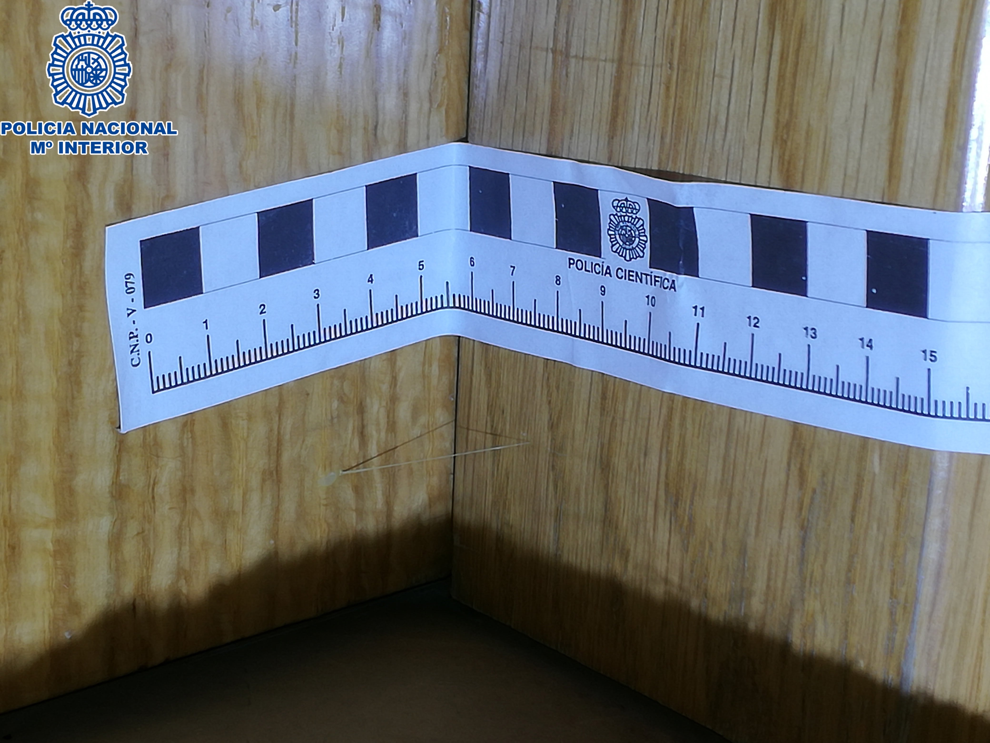 Hilo de silicona marcando una puerta para robar posteriormente en el domicilio