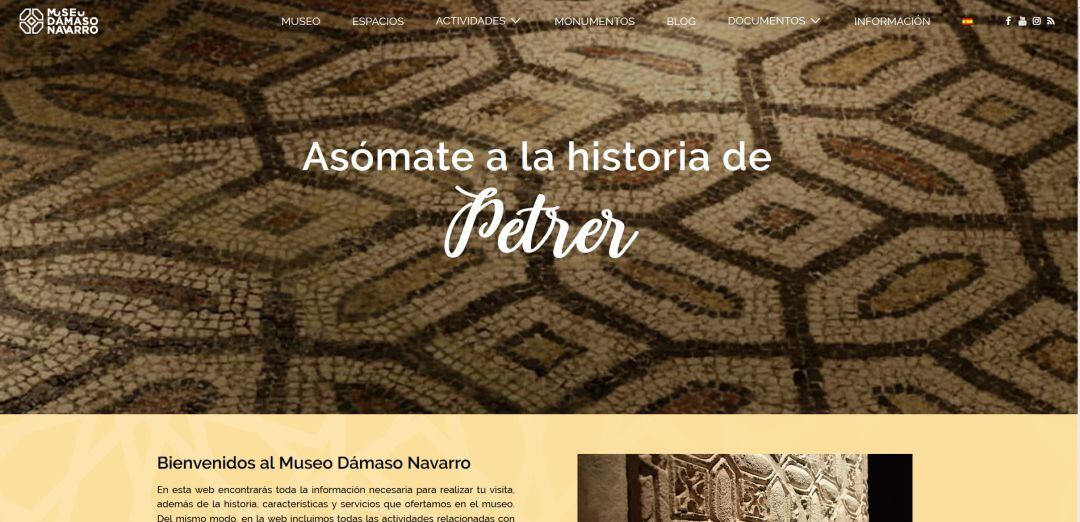 Web del Museo Dámaso Navarro de Petrer