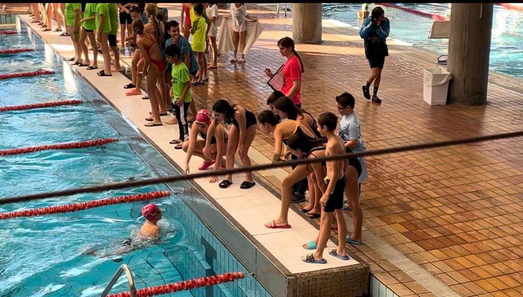 Club Natación Villena