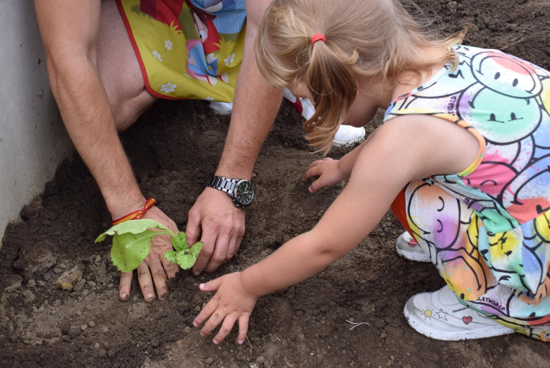Archivo - Ludoteca de Piélagos