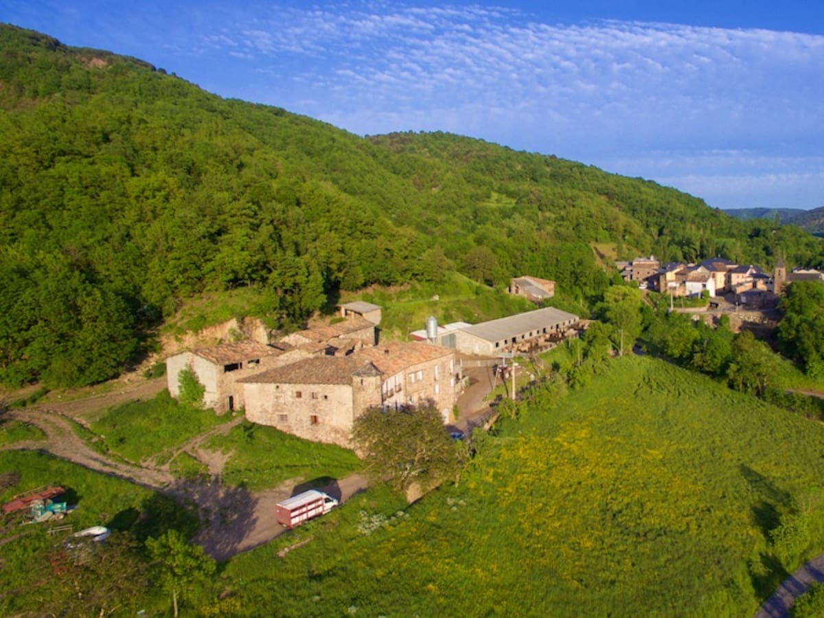 Montanuy acoge un proyecto de arte comunitario impulsado por estudiantes de postgrado