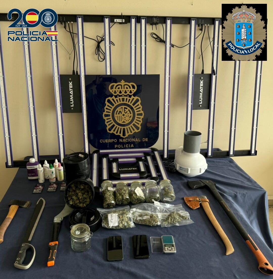 Plantación de marihuana en un piso de A Coruña