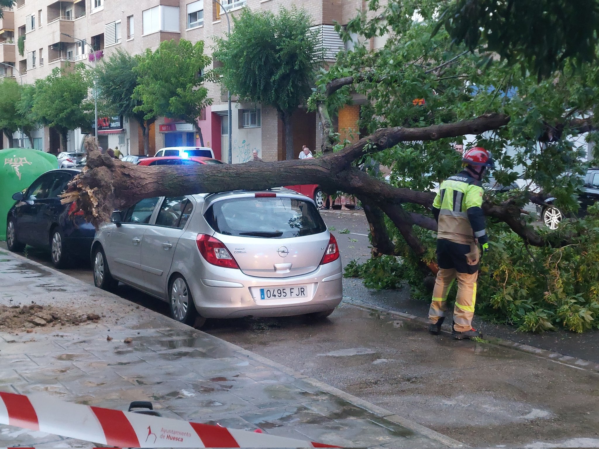 Los bomberos tuvieron que intervenir para retirar el árbol que ha caído sobre un vehículo en Huesca