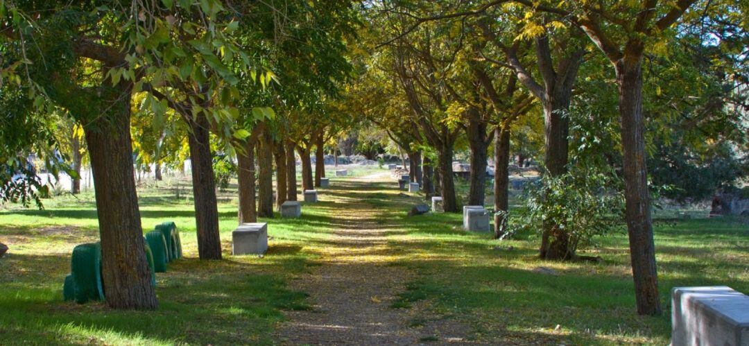 Zona de esparcimiento en la Cañada Real El Paso.