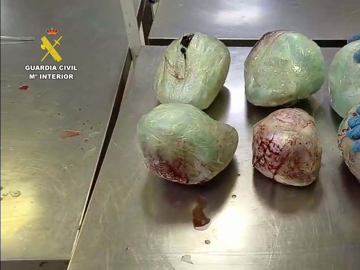 Hallan 15 pangolines muertos en una maleta procedente de Etiopía en el aeropuerto de Barajas