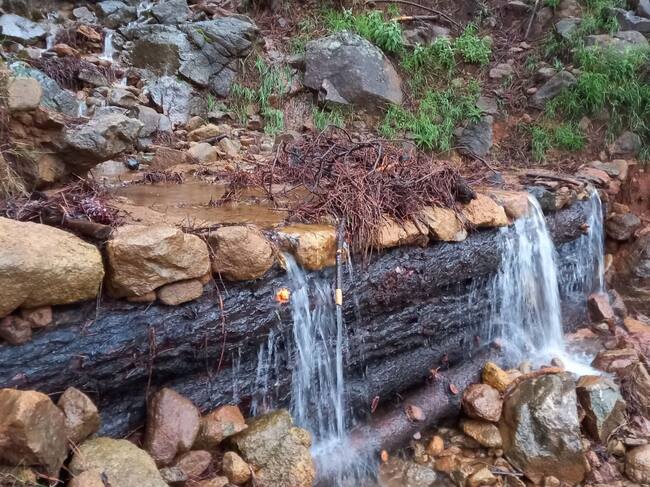 Fajina en Sierra Bermeja para evitar la erosión del suelo tras el incendio de septiembre de 2021