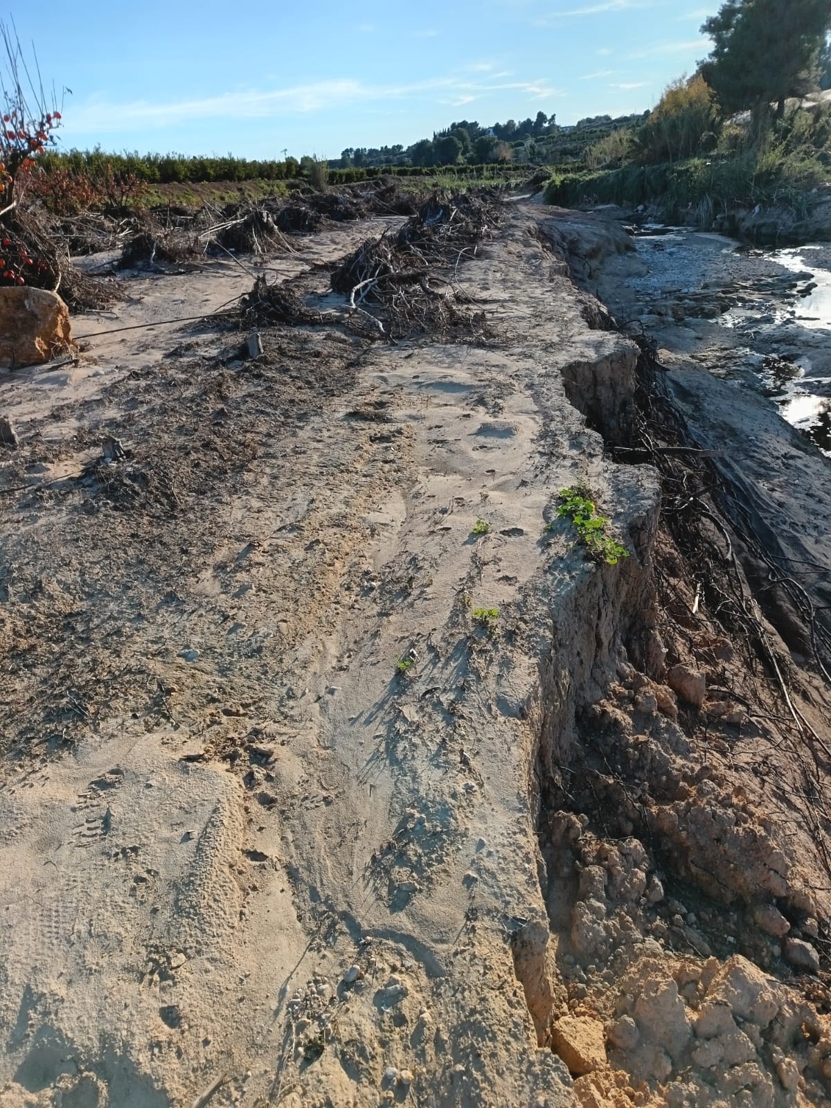 Uno de los campos que la DANA hizo desaparecer