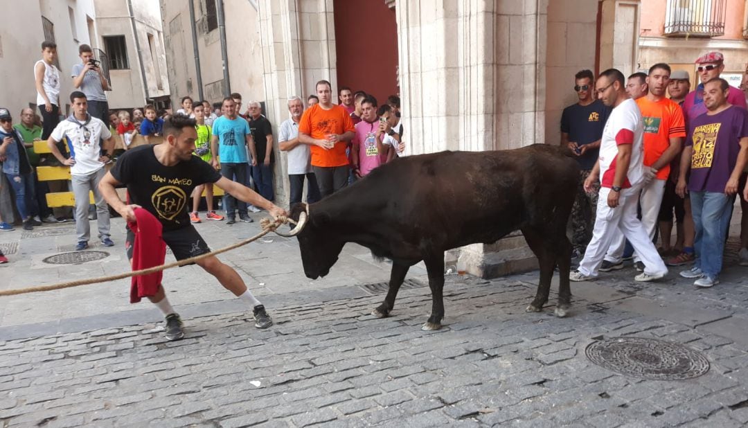 Suelta de vaquillas enmaromadas durante las fiestas de San Mateo de Cuenca en la plaza Mayor de la ciudad en una foto de archivo.