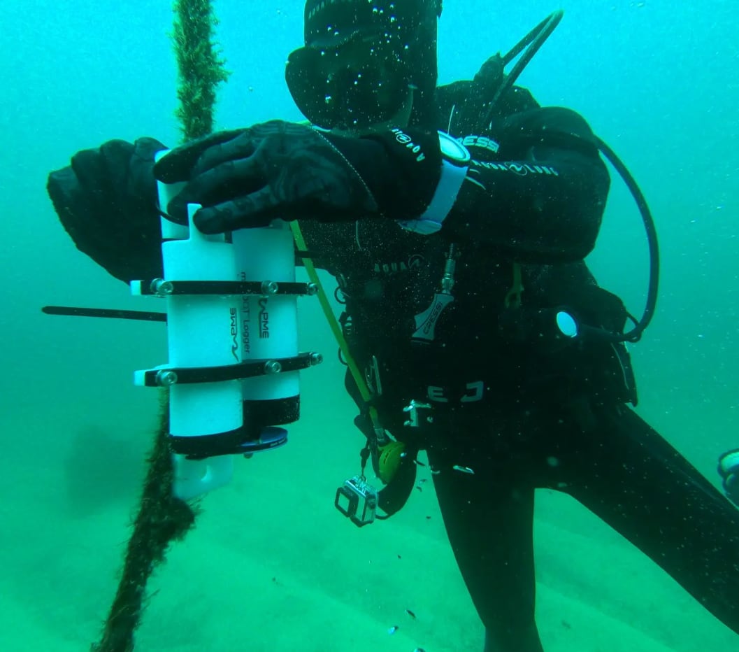 Uno de los buceadores de Angel Shark Project.