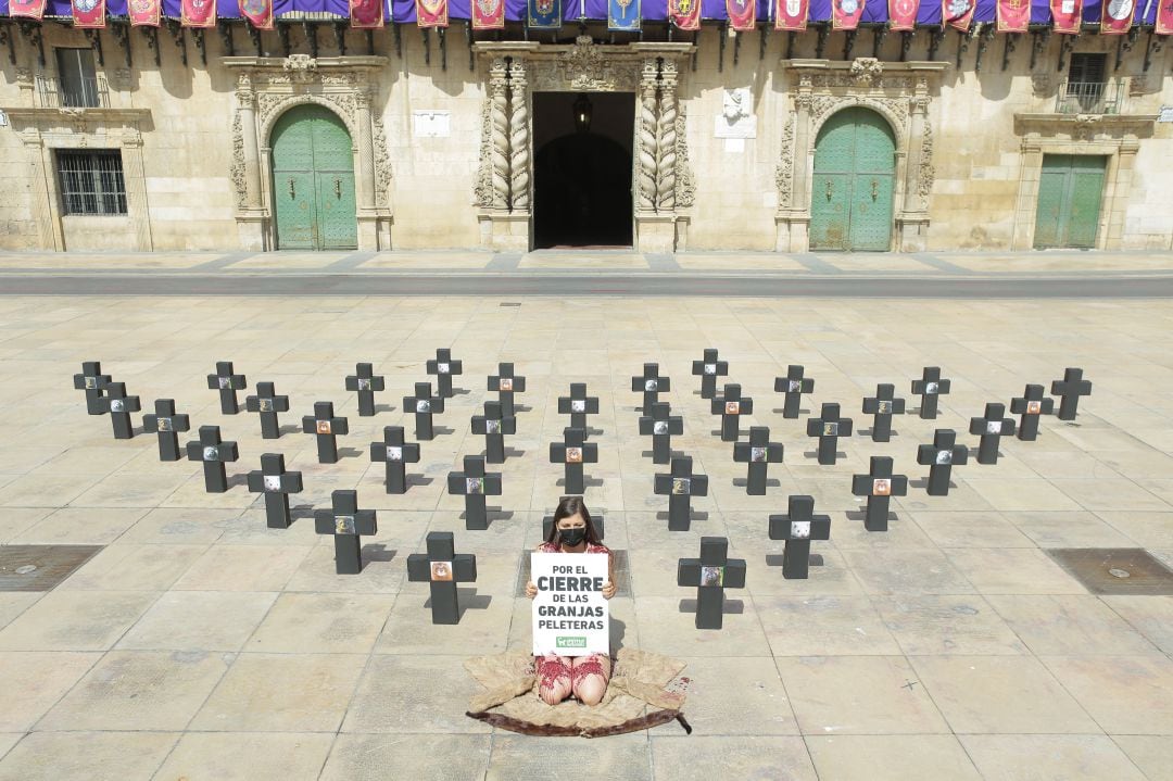 Acción protesta en la Plaza del Ayuntamiento de Alicante contra las granjas peleteras