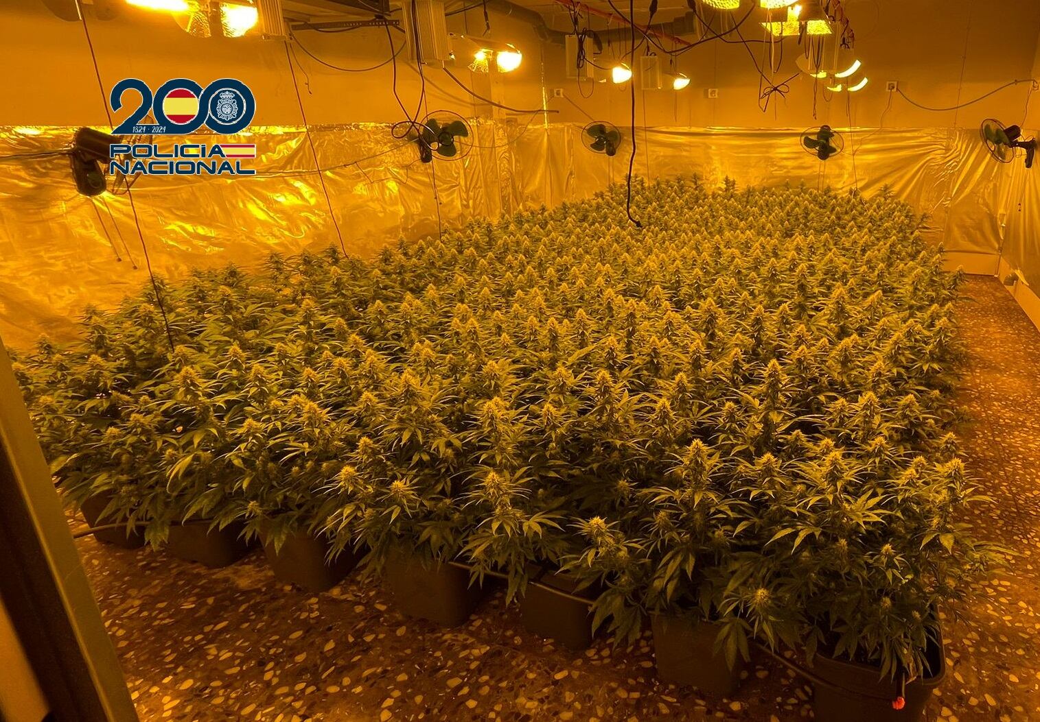 La Policía Nacional detiene a 21 personas y desmantela 11 puntos de venta de droga en junio en la Región