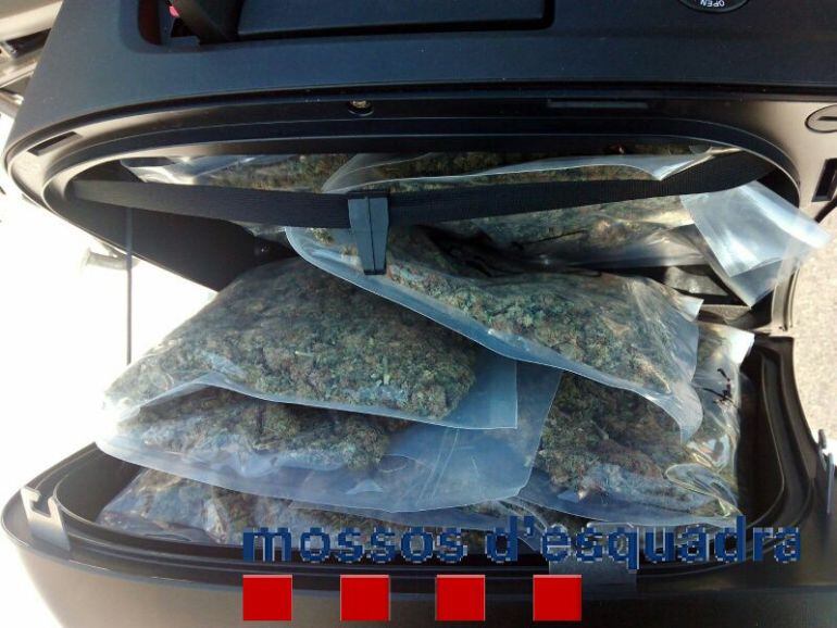 La marihuana, repartida en bosses.