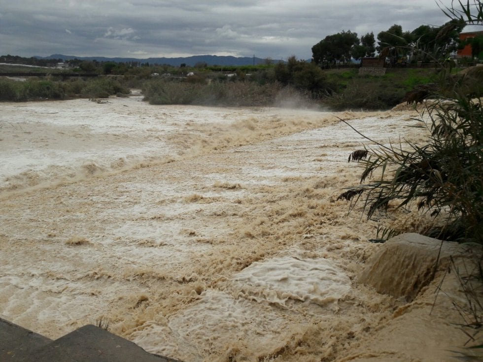 El río Segura a su paso por la Contraparada en un capítulo de lluvias torrenciales. Foto archivo