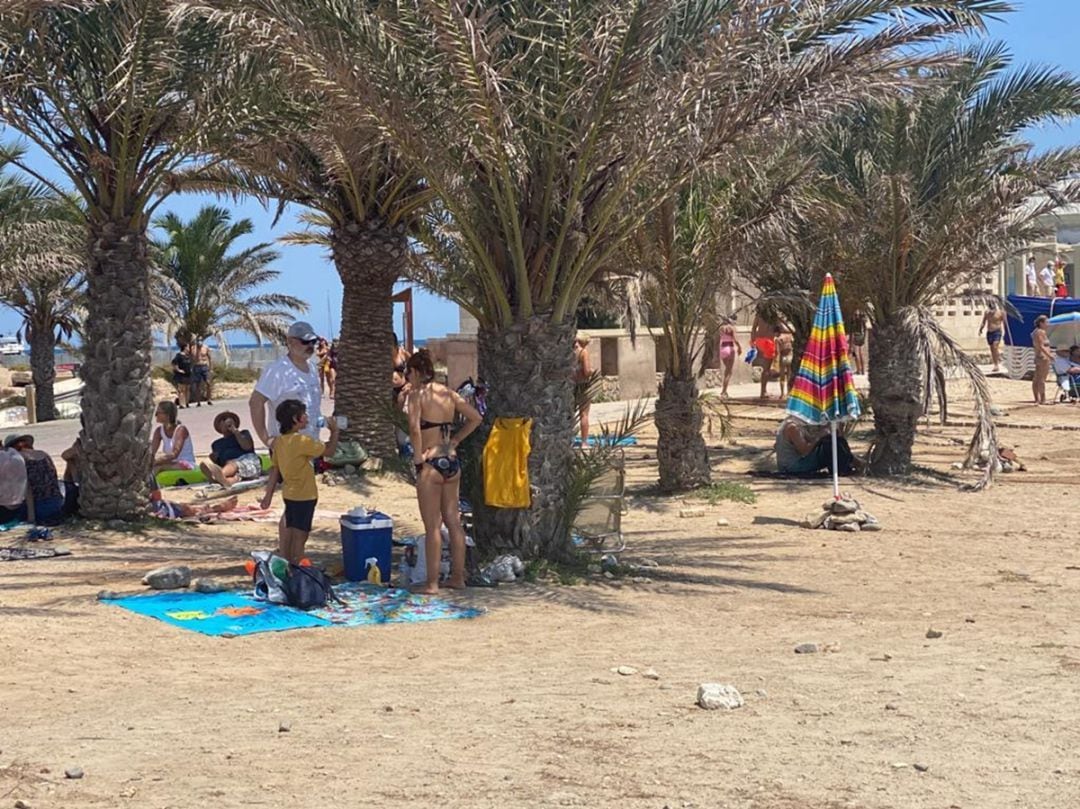 Los turistas que llegan a Tabarca este verano intentan buscar una sombra donde pueden, tras el recorte de hamacas y sombrillas por las medidas antiCOVID-19.