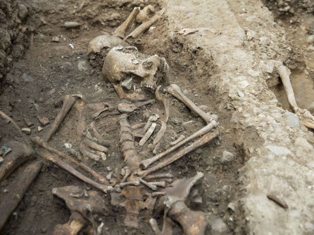 Descubierta una necrópolis en el Bosquecillo de Pamplona