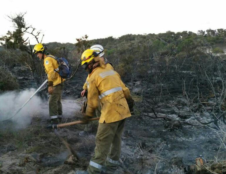 El origen del fuego habría sido una bengala lanzada desde una embarcación y que caía en la zona sureste de la isla