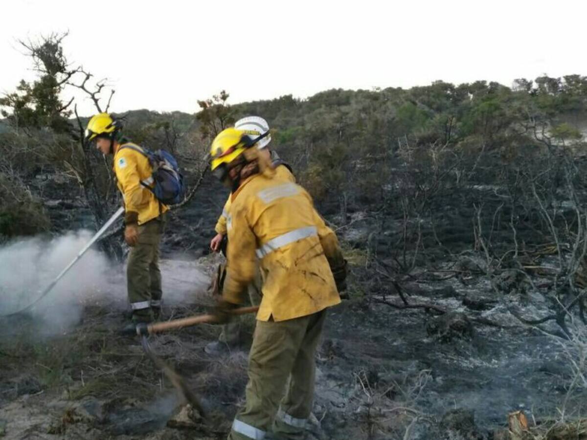 Una bengala causa un incendio en la isla de S'Espalmador en Formentera