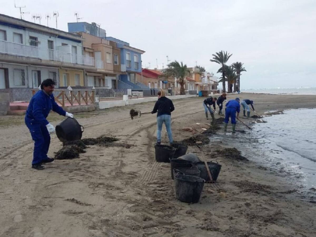 El Ayuntamiento de Cartagena estudia intensificar la limpieza en las playas durante estos meses