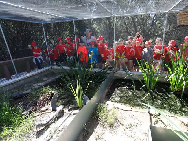 Proyecto recuperación Galápago.