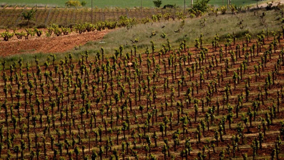 Iscar y Peñafiel continúan con restricciones excepcionales