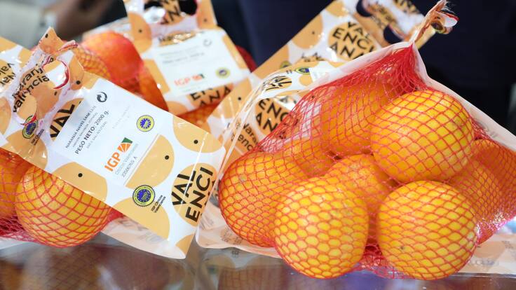 La Llavor (11-02-2023)