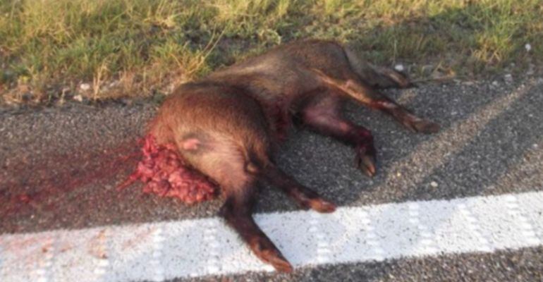 El sinistre es va produir a l'AP-2 al municipi d'Artesa de Lleida, al 2014