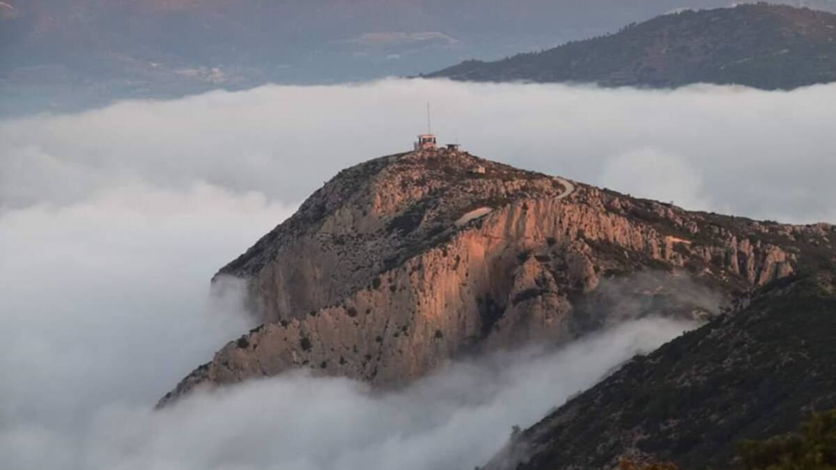 Forajidos. Raúl Vicedo, el aislamiento de Shackleton y las expediciones paralizadas por el coronavirus