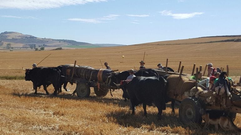 La ruta cruza Vitoria estos días