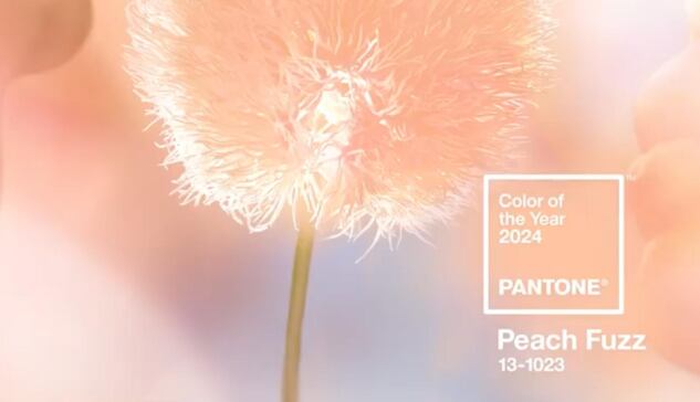 Peach Fuzz, color del año 2024, elegido por el Instituto Pantone del Color.
