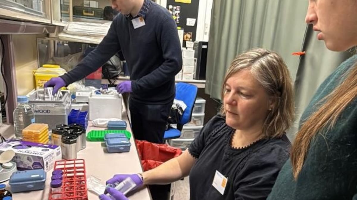 Científicos del Hospital Fundación Alcorcón descubren una nueva variante genética vinculada al Parkinson