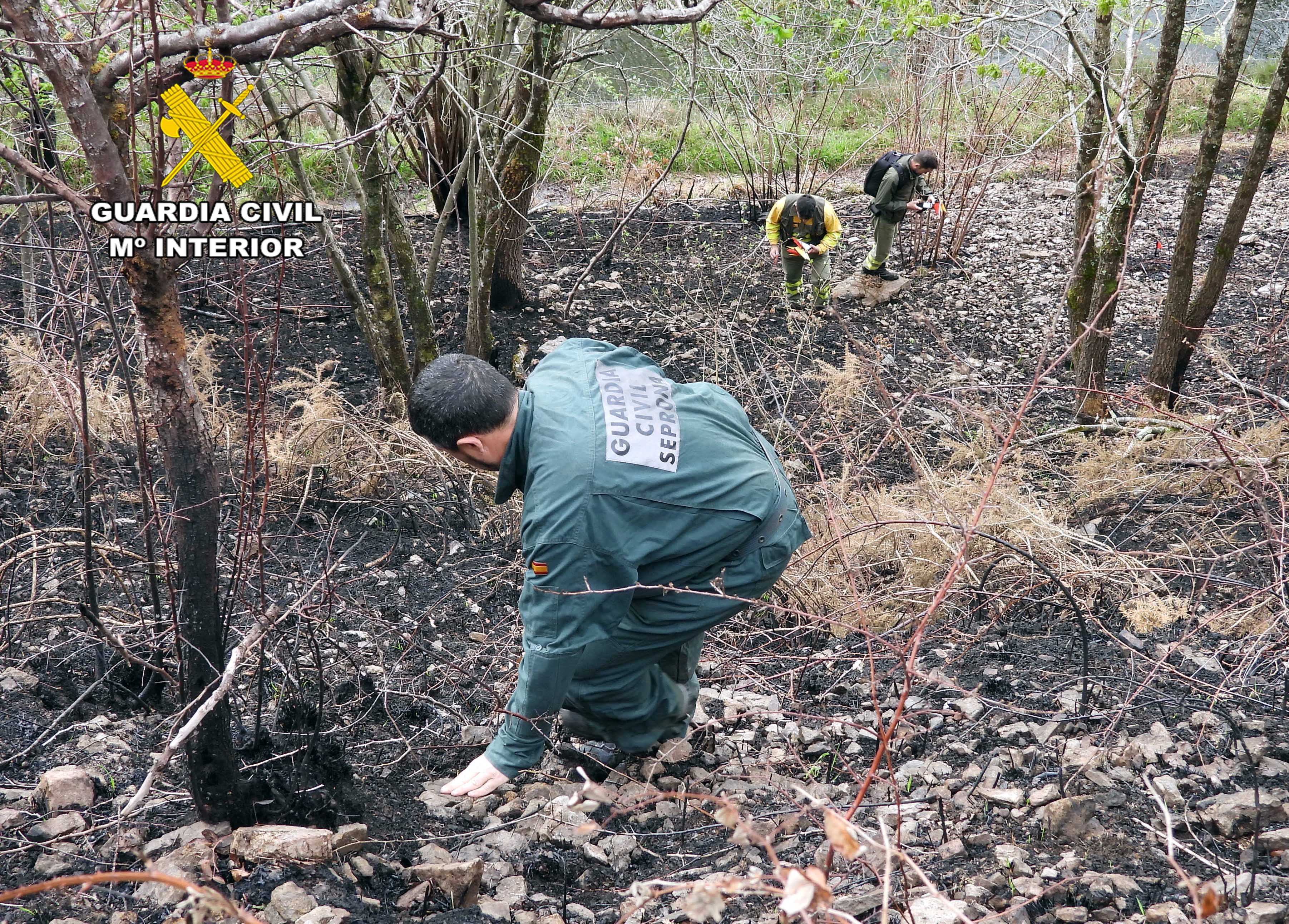 Agentes de la Guardia Civil y Agentes del Medio Natural en el momento de la investigación de causas tras la extinción del incendio en Vega de Pas