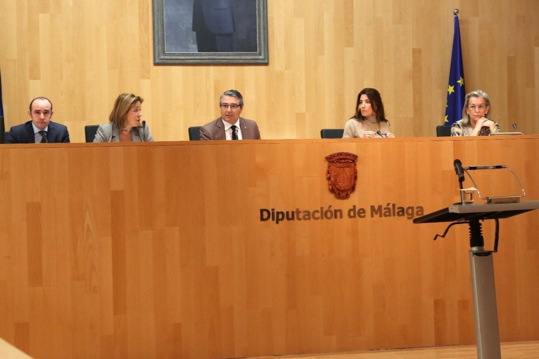 Pleno de la Diputación de málaga enero de 2019