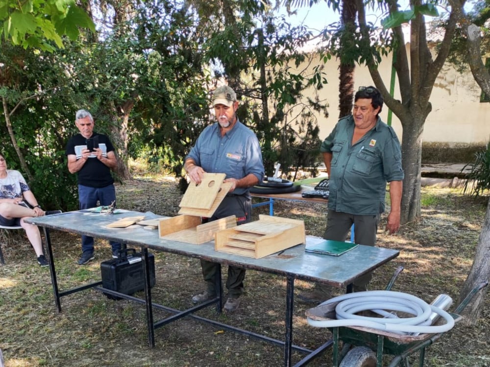 Cajas de murciélagos para luchar contra la procesionaria