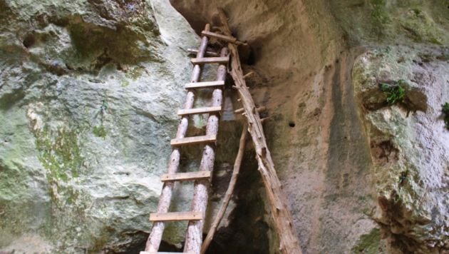 Tramo de escaleras de madera en la bajada de la ruta.