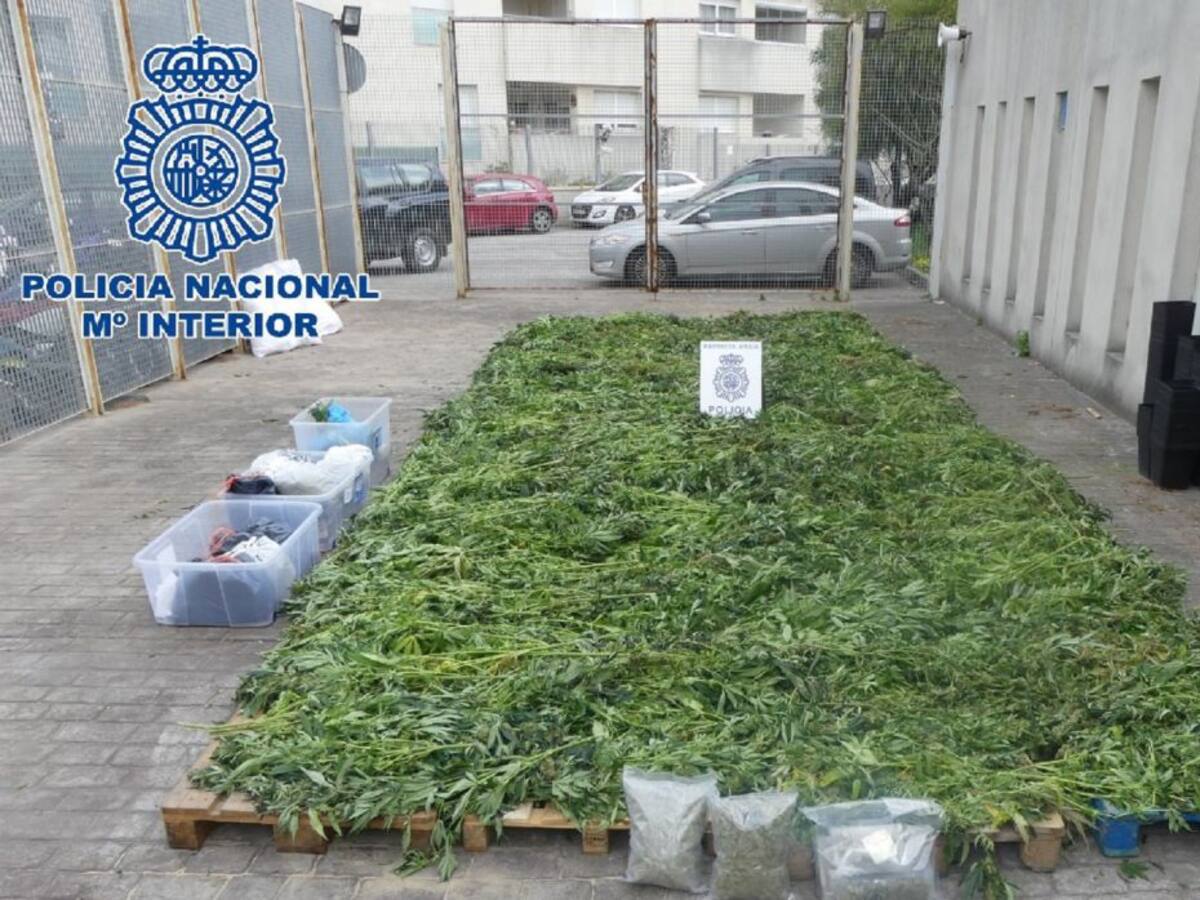 Dos detenidos en Algeciras por supuesto blanqueo de capitales derivado del tráfico de drogas
