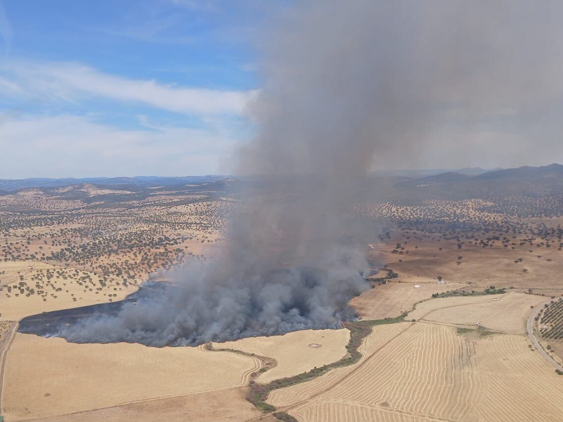 Incendio de El Viso (Infoca)