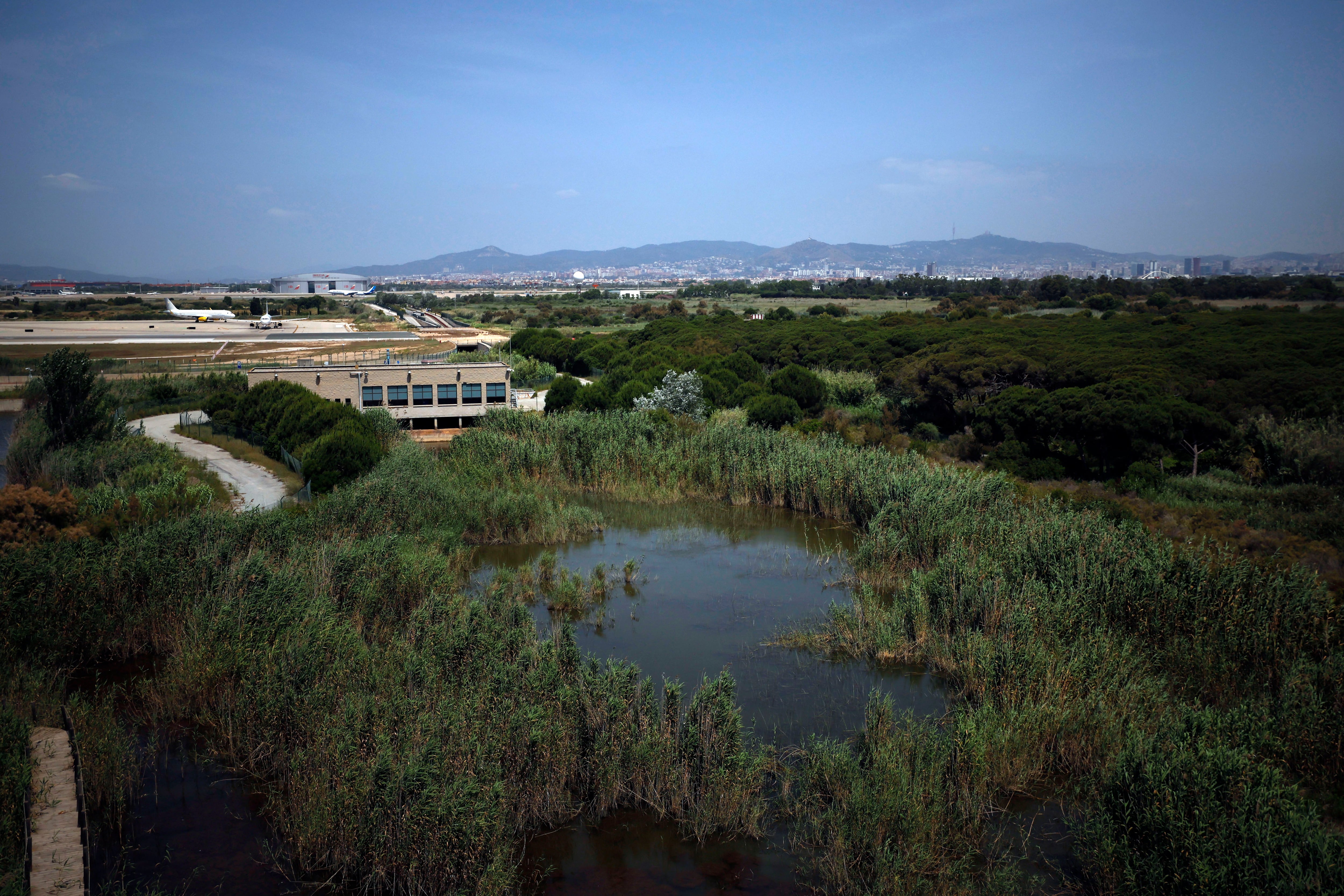 GRAFCAT9264. EL PRAT (BARCELONA), 10/06/2025.- Vista de una de las pistas del Aeropuerto de Barcelona-El Prat, junto a la pinada de La Ricarda (a la derecha), este martes, después de que el presidente catalán, Salvador Illa, haya anunciado que Aena invertirá 3.200 millones en la ampliación del Aeropuerto Josep Tarradellas Barcelona-El Prat, un proyecto que contempla extender la tercera pista, la más cercana al mar, en 500 metros. EFE/Alberto Estévez
