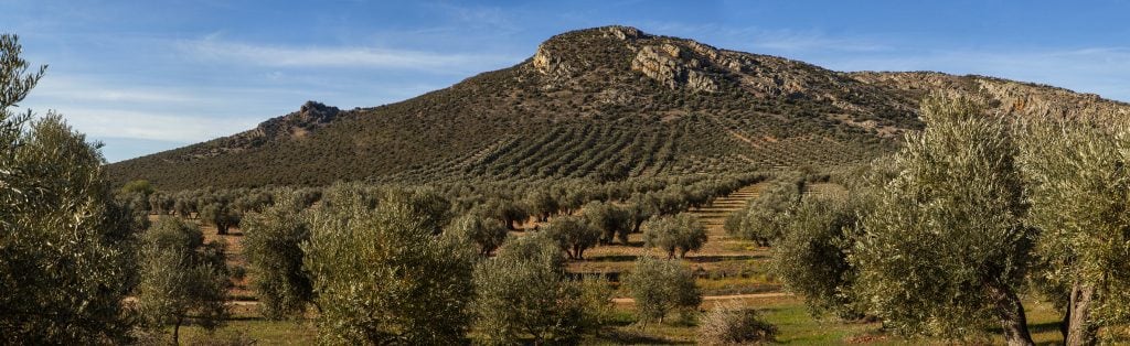 Entorno de La Pedriza / Ayto de Herencia