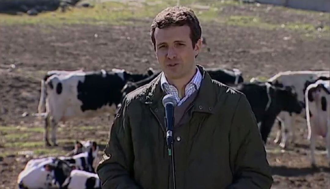 Pablo Casado durante su visita a una explotación ganadera de Las Navas del Marqués