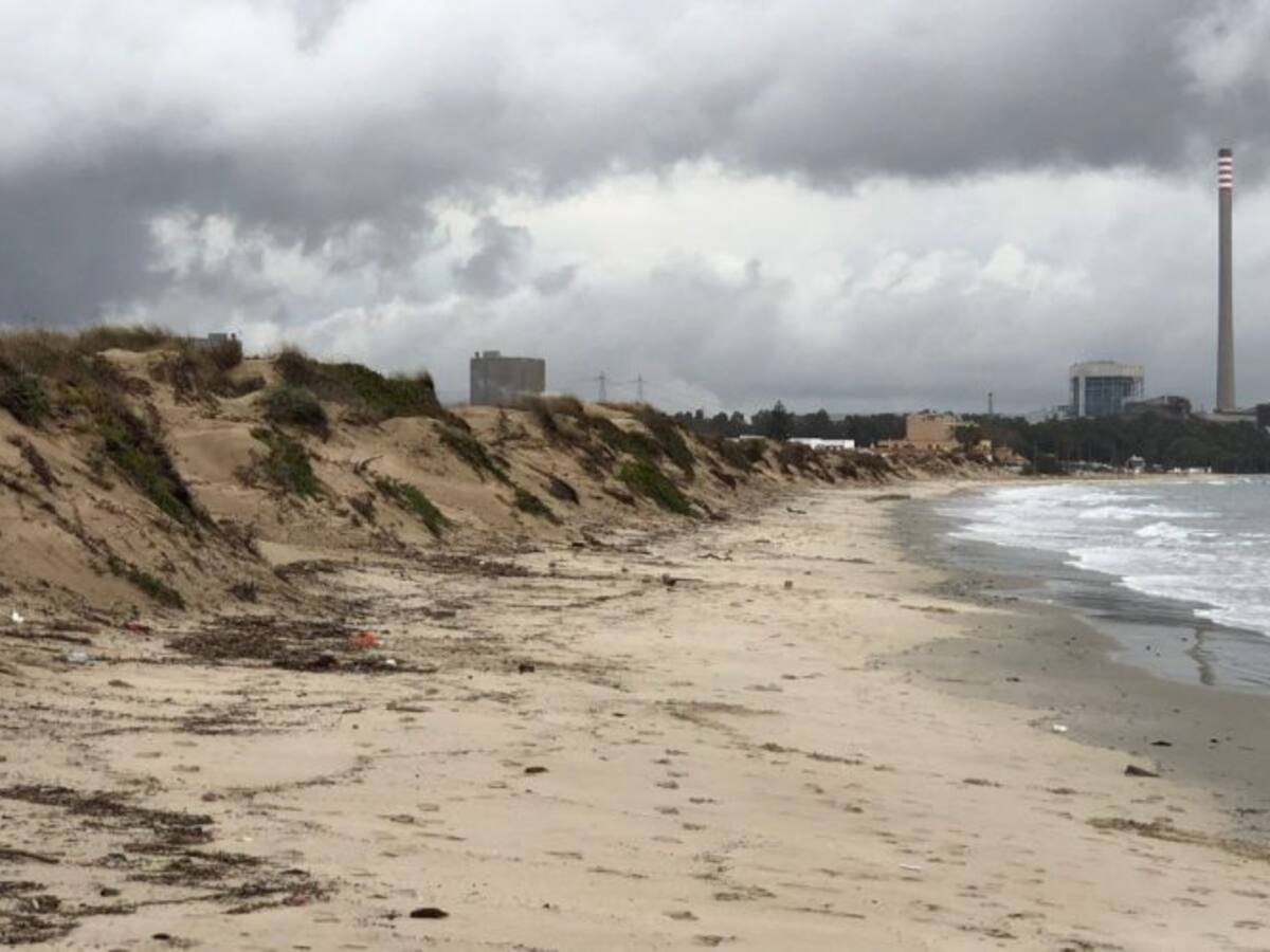 Salvemos Rinconcillo y Verdemar limpiarán las dunas y el paraje natural de las Marismas del Palmones