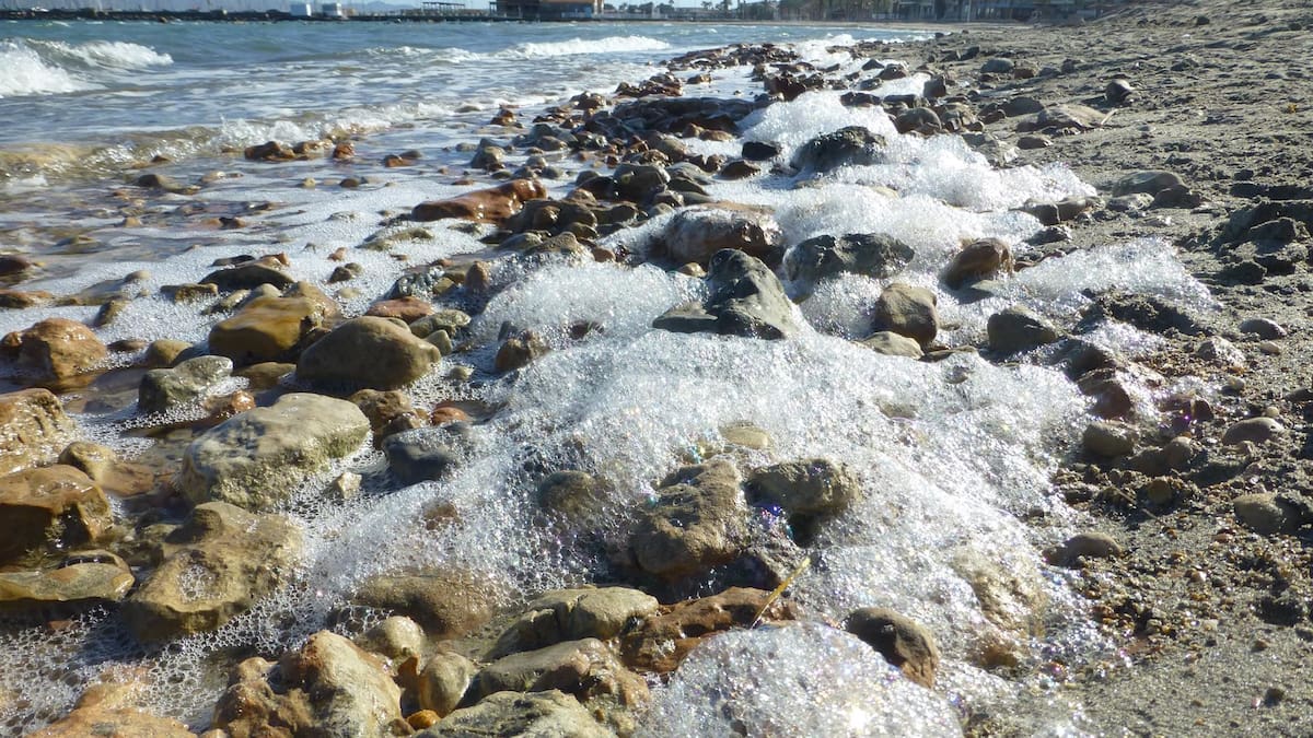 Juan Manuel Ruiz IEO: preocupa el Mar Menor