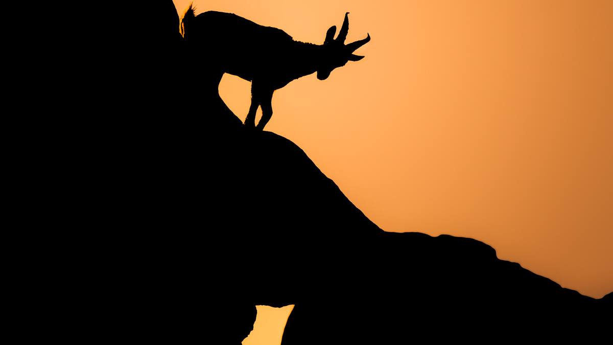 Trotamundos Zielinski recuerda la figura de José García Martínez