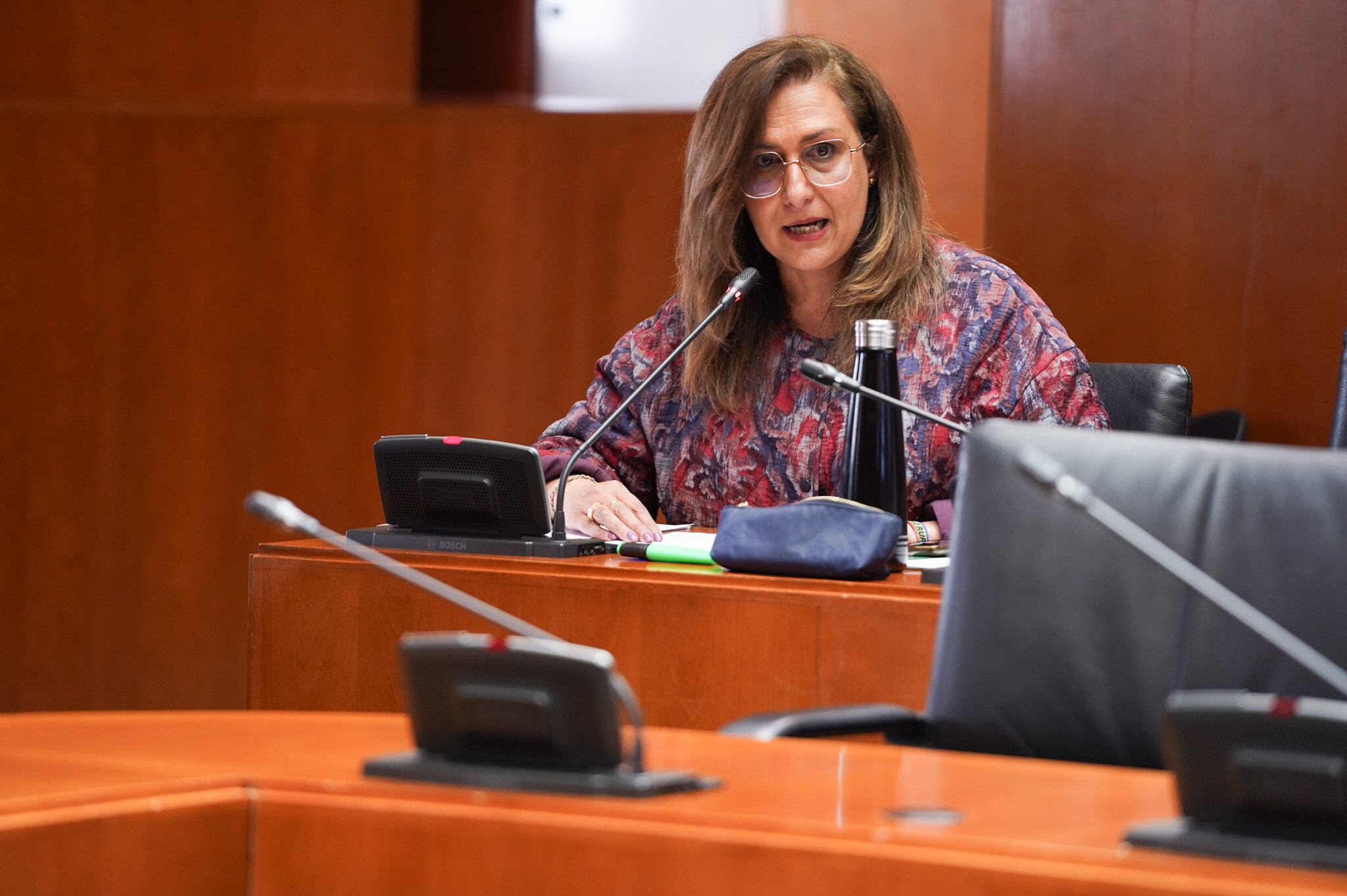 Pilar Buj, diputada de Aragón Teruel Existe