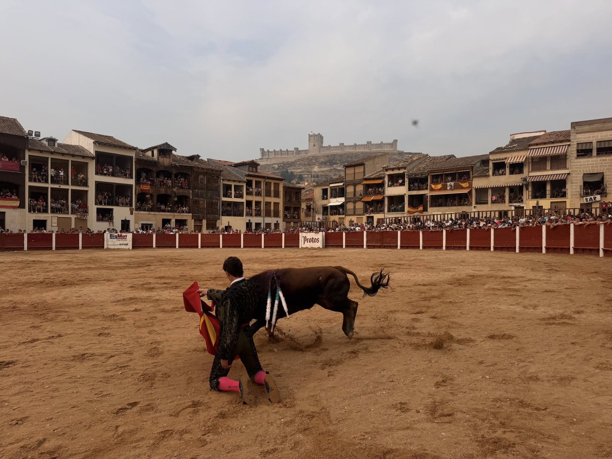 Imagen de las fiestas de San Roque de Peñafiel en 2025