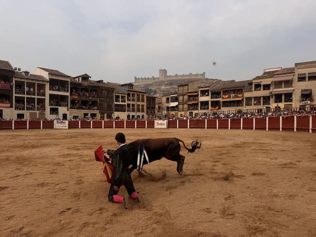 Imagen de las fiestas de San Roque de Peñafiel en 2025