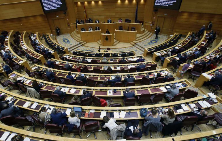 El pleno del Senado que debate el proyecto de ley orgánica de reforma del Tribunal Constitucional.