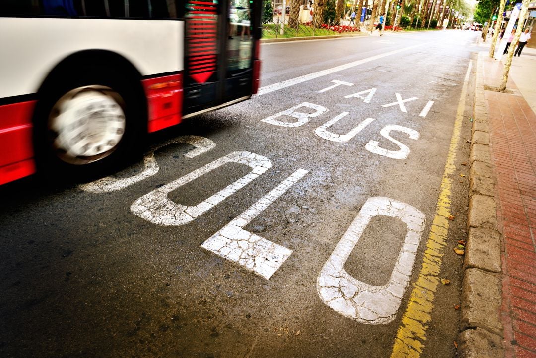 Carril para autobuses y taxis en la ciudad de València.