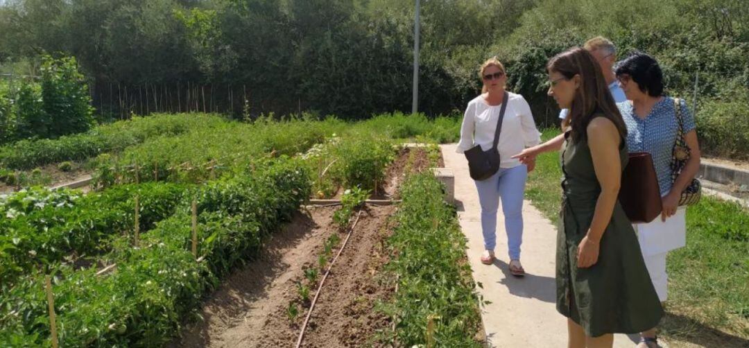 Sanse reabre sus huertos urbanos con nuevas medidas de prevención frente a la Covid-19