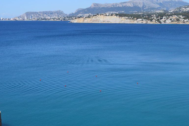 Boyas ecológicas en el Portet de Moraira. 